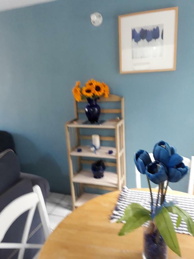 엔세나다 Blue House 빌라 외부 사진